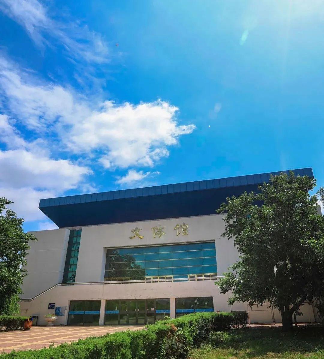 辽宁小巷深处的风情宝藏，探索辽宁的独特魅力