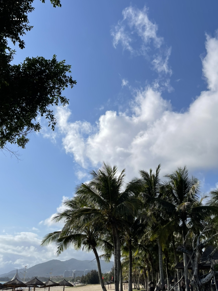 海南岛,碧海蓝天,热带风情🌴🌴🌴